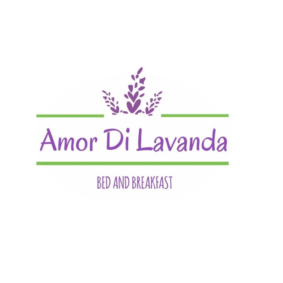 سينغولي Amor Di Lavanda المظهر الخارجي الصورة
