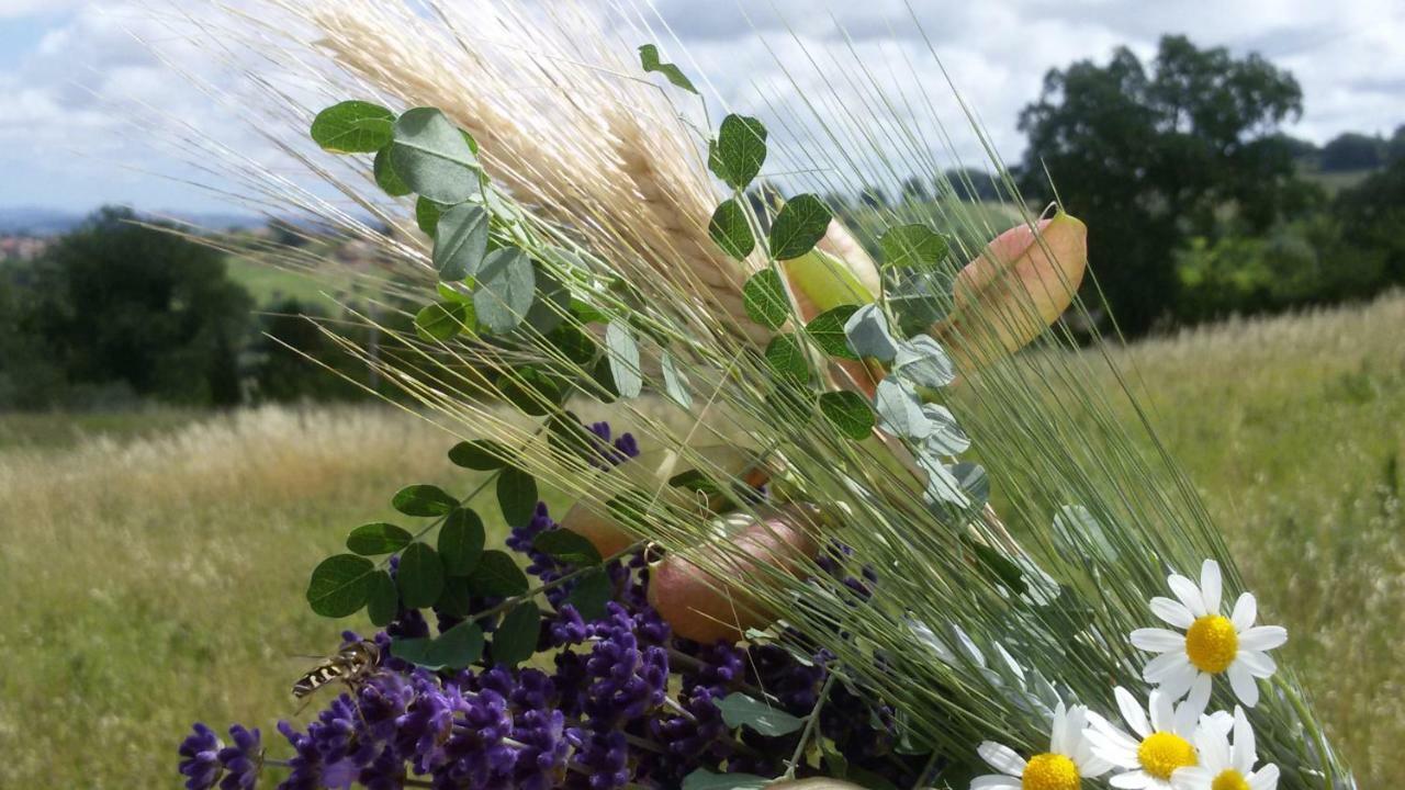 سينغولي Amor Di Lavanda المظهر الخارجي الصورة