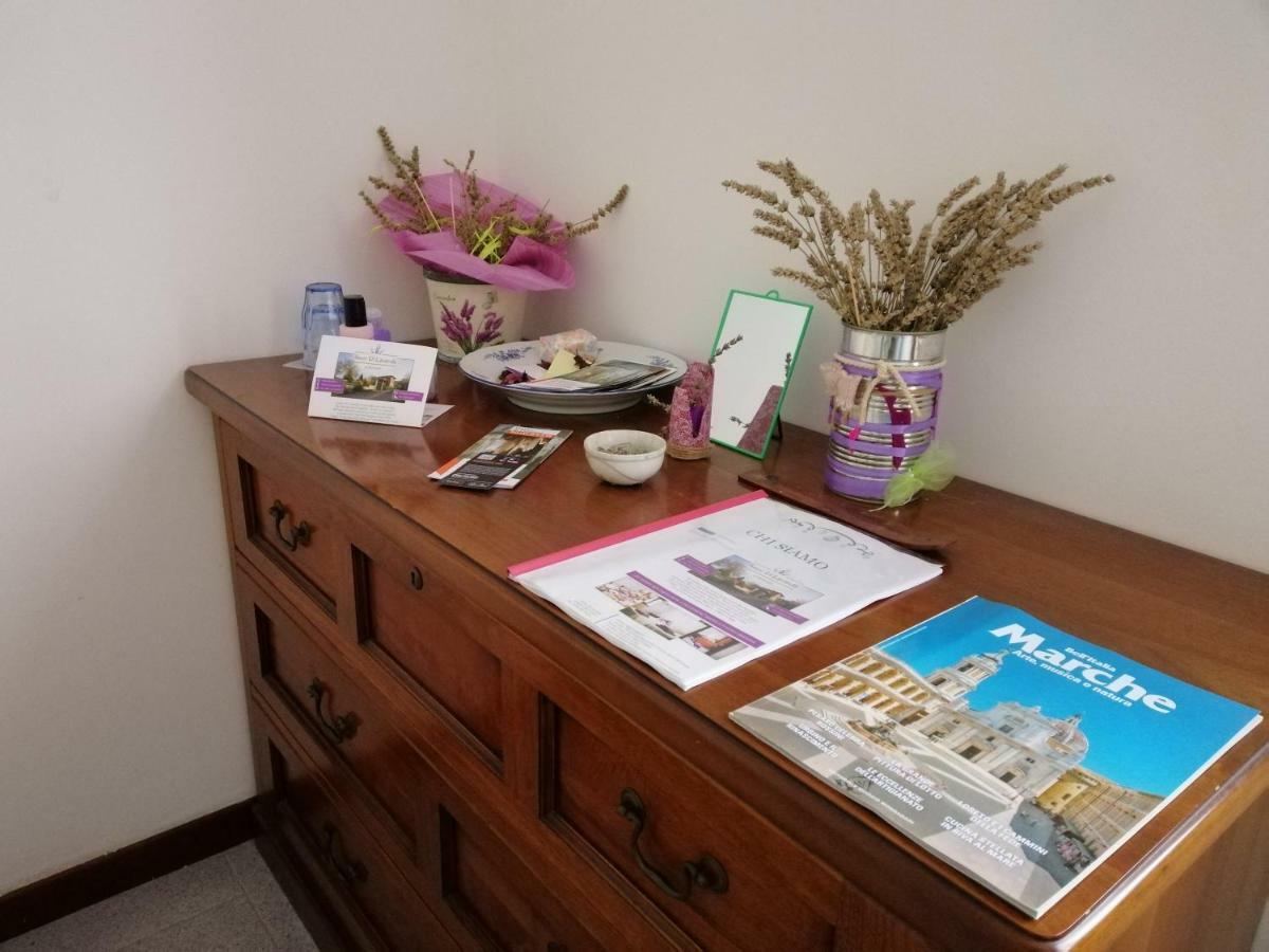 سينغولي Amor Di Lavanda المظهر الخارجي الصورة