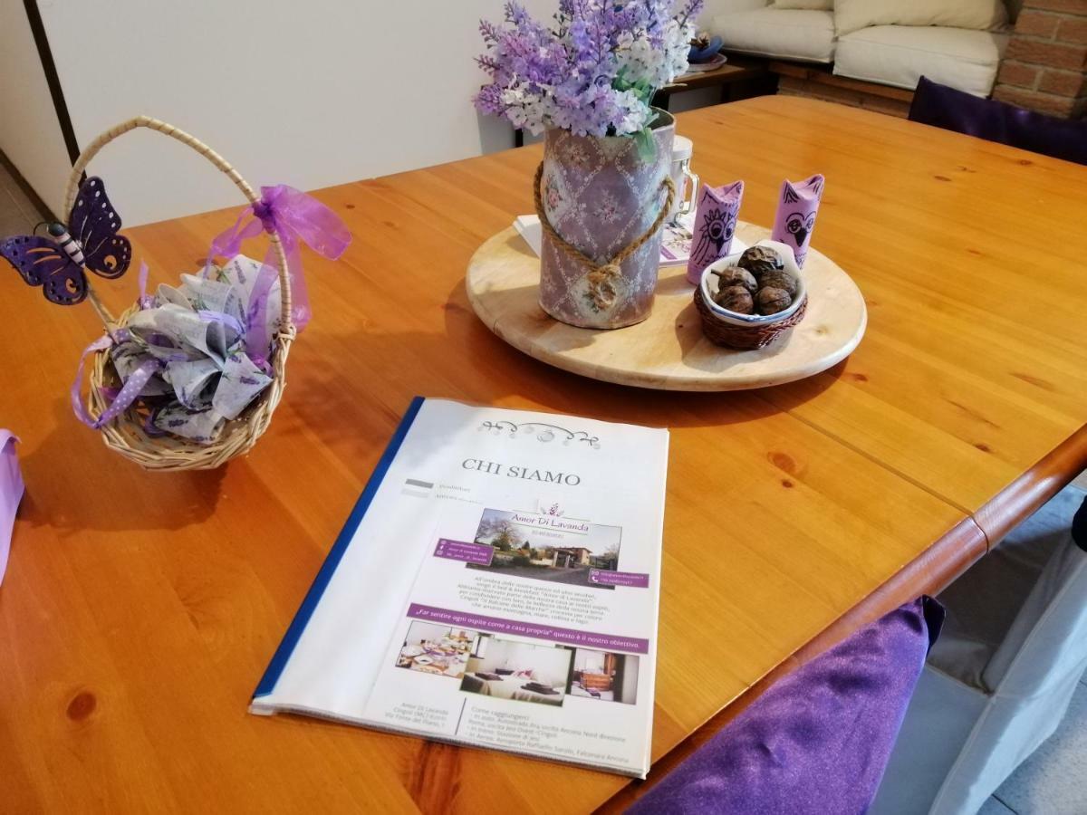 سينغولي Amor Di Lavanda المظهر الخارجي الصورة